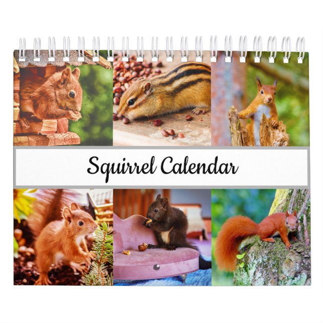 Calendrier Écureuil (Protection)