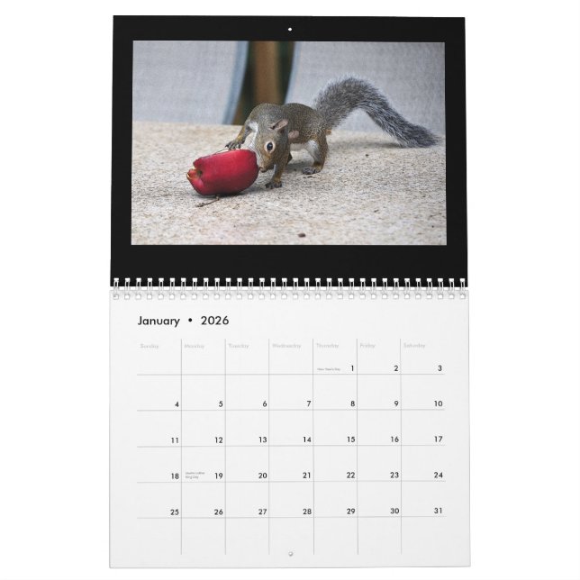 Calendrier Écureuils et leurs trésors (Jan 2026)