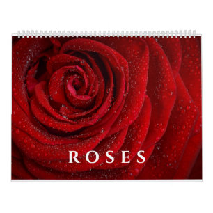 Calendrier Élégant Rose et la photographie florale