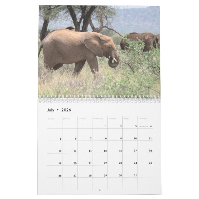 Calendrier éléphant (Jul 2026)