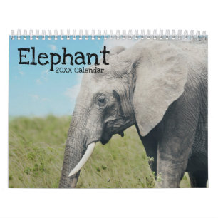 Calendrier Eléphant