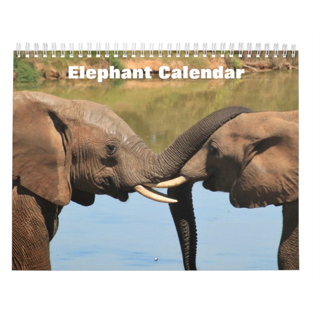 Calendrier Elephant 2025 (Protection)