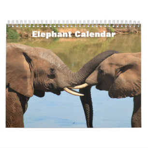 Calendrier Elephant 2025