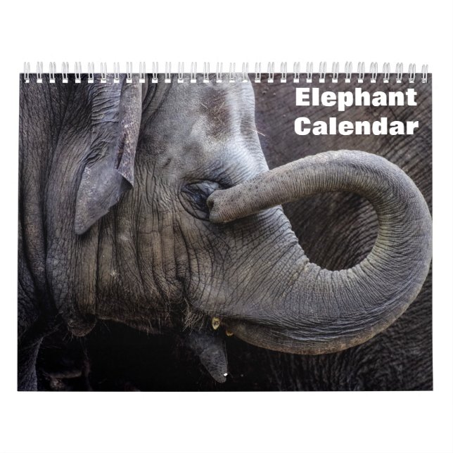 Calendrier Éléphant 2026  (Protection)
