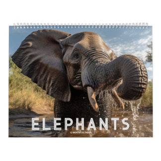Calendrier Éléphants
