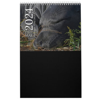 Calendrier Elsie Mae