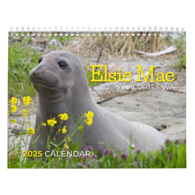 CALENDRIER ELSIE MAE 2025 - TUGBOAT PARK - SKYLINE ANACORTES (Protection)