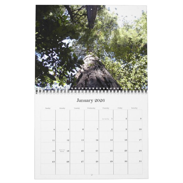 Calendrier en bois de Muir (Jan 2026)