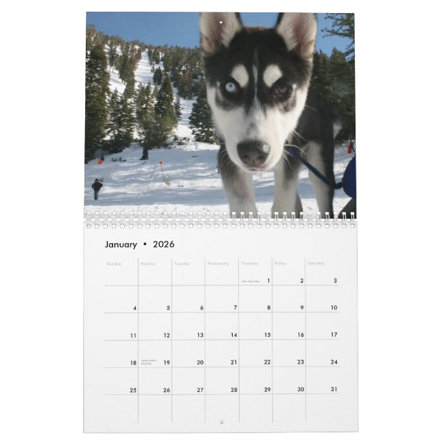 Calendrier enroué 2011 (Jan 2026)