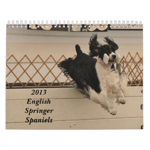 Calendrier Épagneuls 2013 de springer anglais