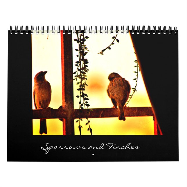 Calendrier Éperviers et pointes (Protection)