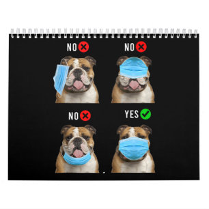 Calendrier Équipe cycliste English Bulldog Right Wear Face Ma