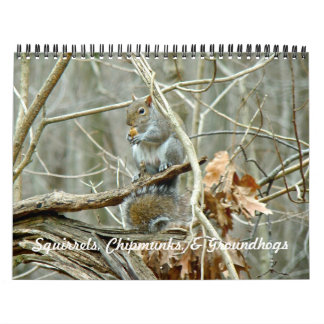 Calendrier - Equipes Chipmunks Groundhogs