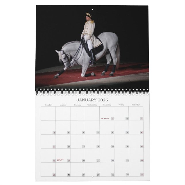 Calendrier Étalons de Lipizzaner (Jan 2026)