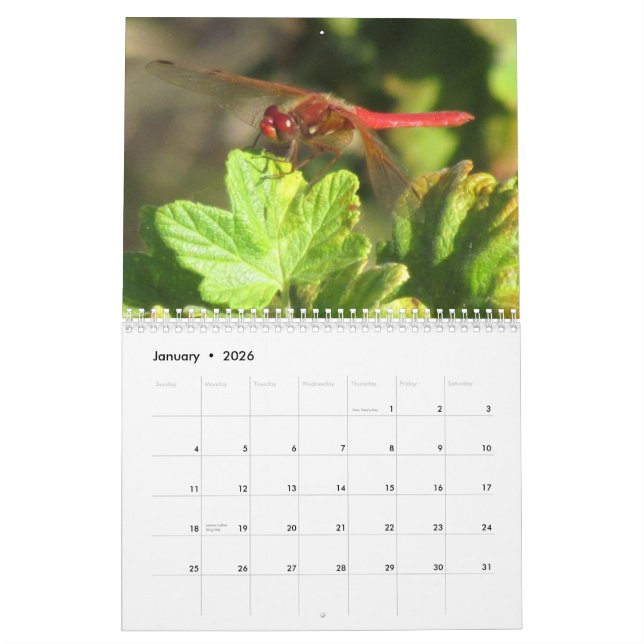 Calendrier Été du ~ 2014 de libellule (Jan 2026)