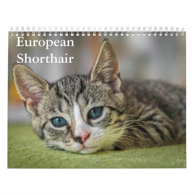 Calendrier européen à courte distance (Protection)