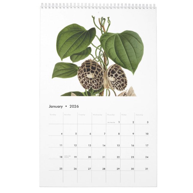 Calendrier Exotics 2015 (Jan 2026)