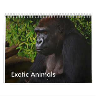 Calendrier exotique d'animaux
