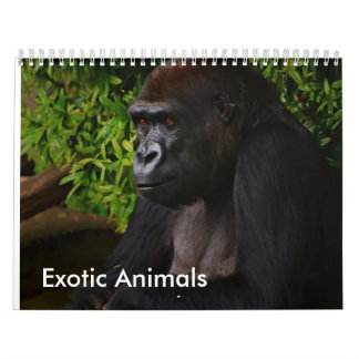 Calendrier exotique d'animaux
