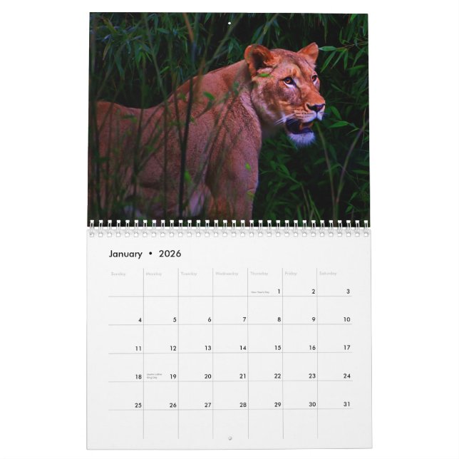 Calendrier exotique d'animaux (Jan 2026)