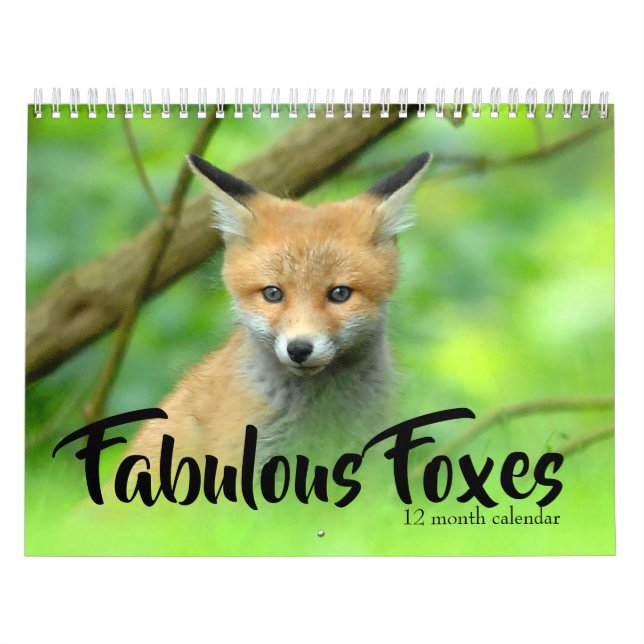 Calendrier Fabulous Foxes 2026 (Protection)