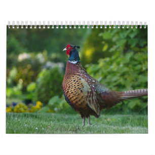 Calendrier Faisan, Calendar Pheasant