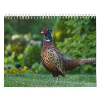 Calendrier Faisan, Calendar Pheasant