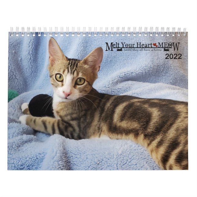 Calendrier Faites fondre votre coeur - MEOW 2022 Kitten Calen (Protection)