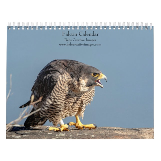 Calendrier Falcon 2026 (Protection)