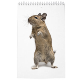 Calendrier Famille de Degu
