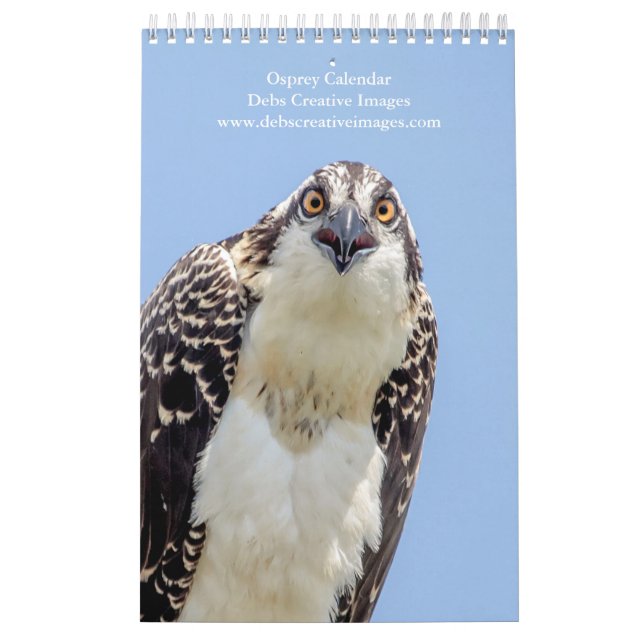 Calendrier Famille Osprey 2026 (Protection)