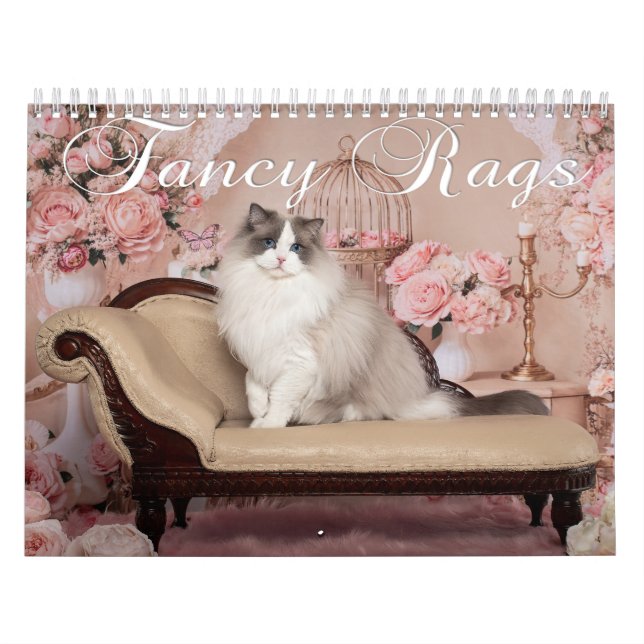 Calendrier Fancy Rags 12 mois (Protection)