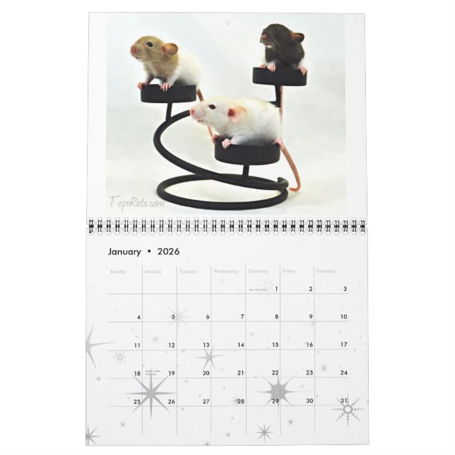 Calendrier Fancy Rats 2013 (Jan 2026)
