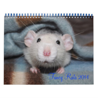 Calendrier Fancy Rats 2014