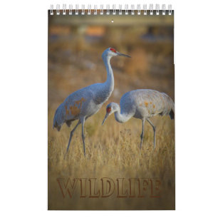 Calendrier Faune