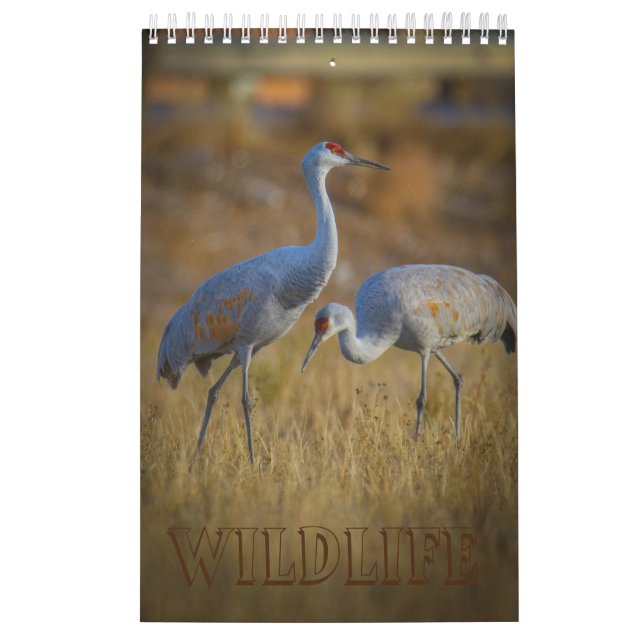 Calendrier Faune (Protection)