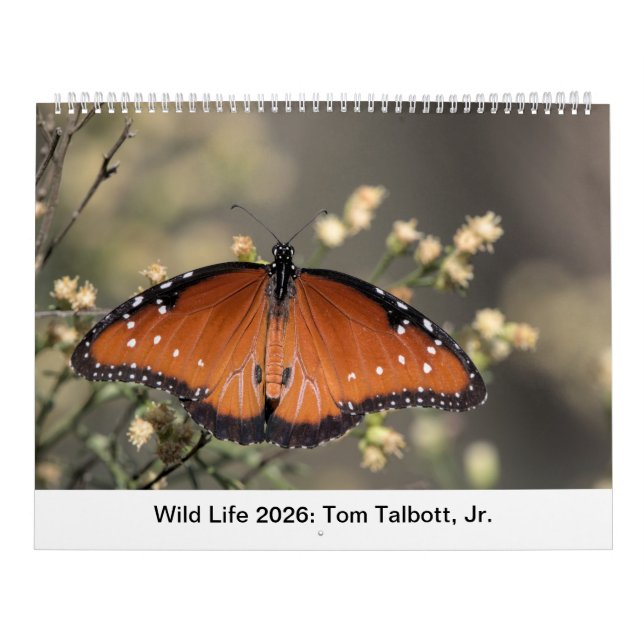 Calendrier Faune 2026 (Protection)