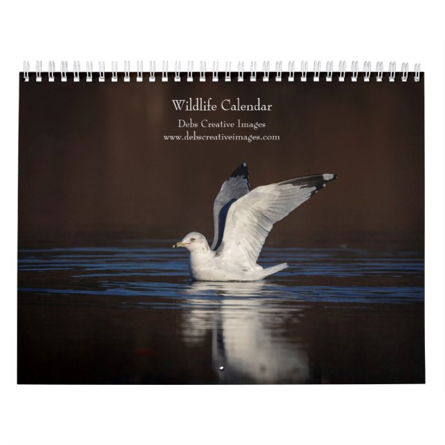 Calendrier Faune 2026 (Protection)