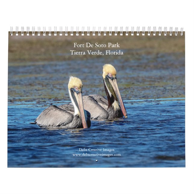 Calendrier Faune au Fort De Soto Park 2026 (Protection)