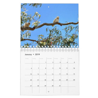 CALENDRIER FAUNE AUSTRALIENNE