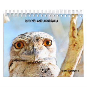 CALENDRIER FAUNE AUSTRALIENNE