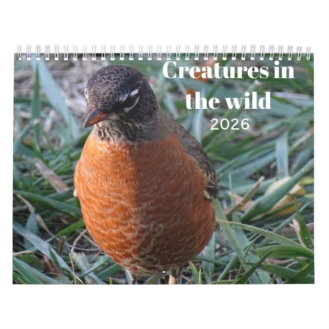 Calendrier Faune et insectes (Protection)