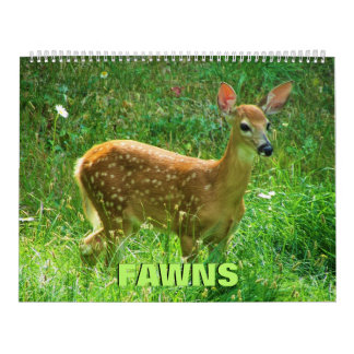 Calendrier Fawns