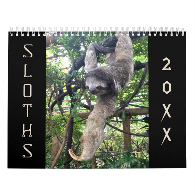 Calendrier Fentes (Protection)