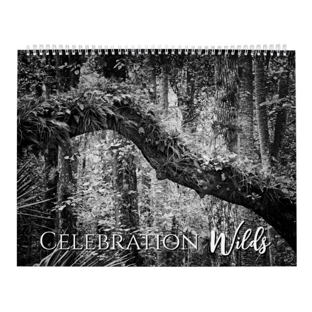 Calendrier Fête Wilds (Protection)