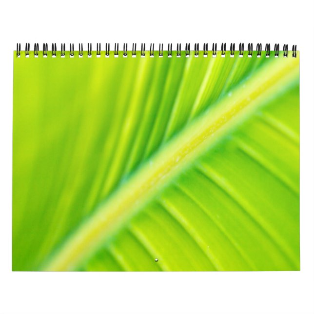 Calendrier feuille de bananier vert (Protection)