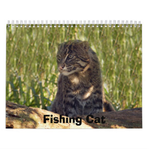 Calendrier FishingCat008, pêchant le chat