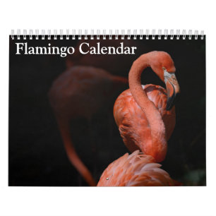 Calendrier Flamant 2027