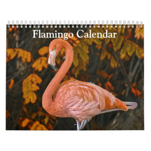 Calendrier Flamant rose 2025