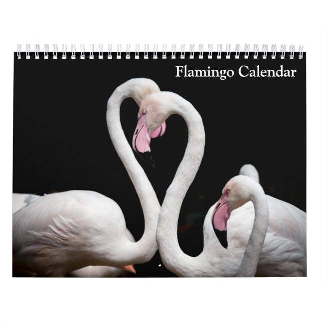 Calendrier Flamant rose 2025 (Protection)